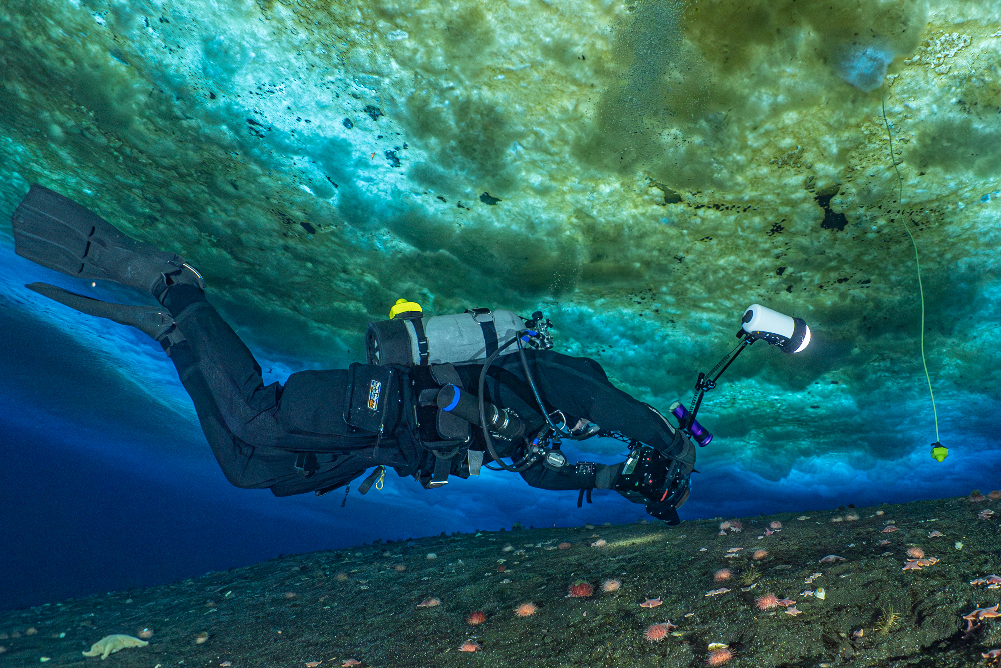 Diver with a UWIS unit beneath Antarctic sea ice